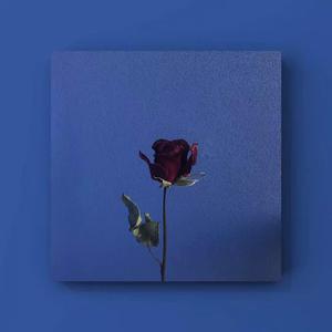 性感熟妇穿三角裤好吗视频
