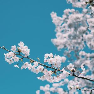 性感熟妇穿三角裤好吗视频
